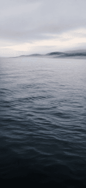 Gentle grey-blue waves fade into a misty horizon and distant headland.