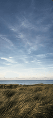 Coastal grasses lean in the breeze below a broad pale sky and distant sea horizon.