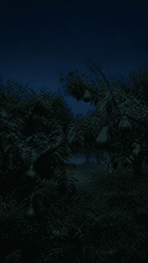 Leafy fruit trees fill a dark orchard beneath a deep blue night sky.